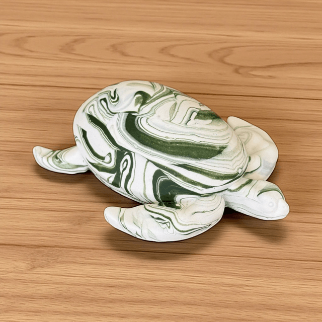 Medium Turtle