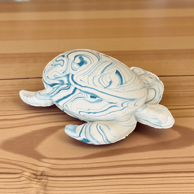 Medium Turtle