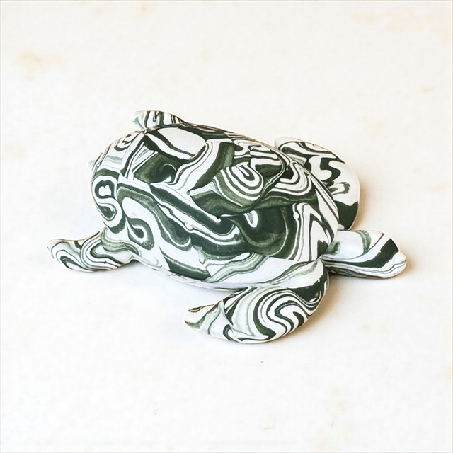 Baby Turtle